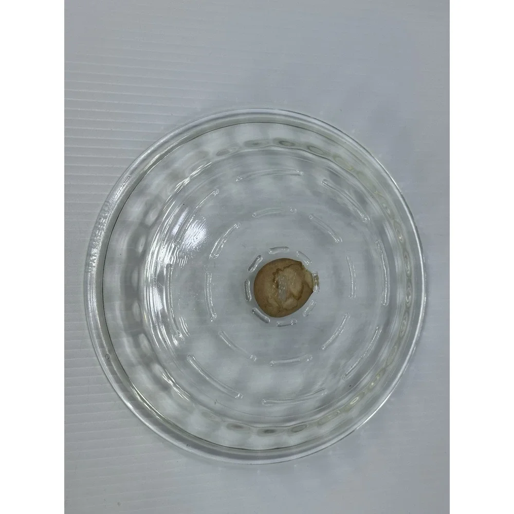 VTG Glasbake Pie Plate 244 1/2  9